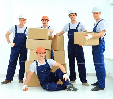 Professional van service emphasizing insurance and safety standards