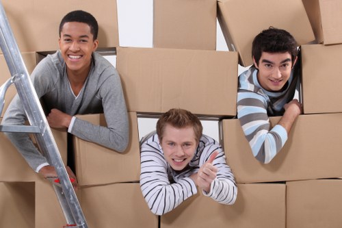 Low-carbon van operations supporting greener removals